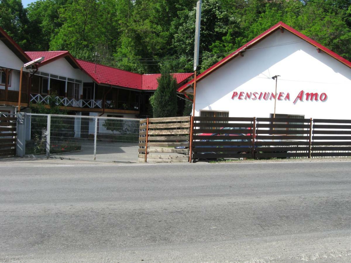 Pensiunea Amo Вэлени-де-Мунте Экстерьер фото