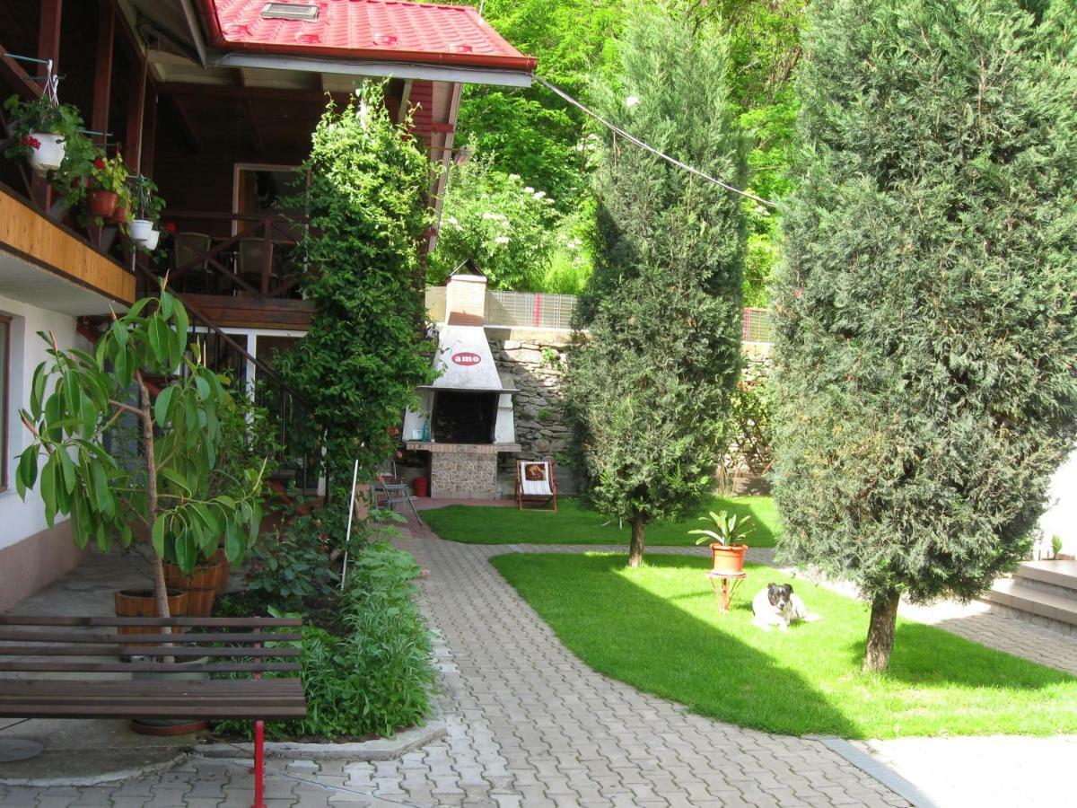 Pensiunea Amo Вэлени-де-Мунте Экстерьер фото